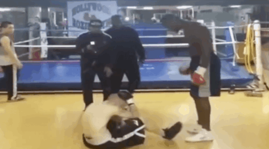 Deontay Wilder troll