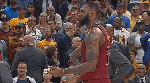 Lance Stephenson LeBron James