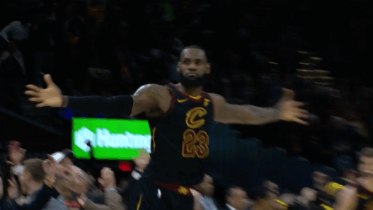 LeBron James Indiana Pacers