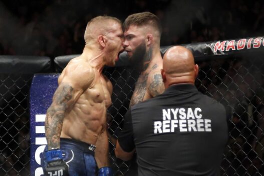 The Rematch is ON : TJ Dillashaw vs Cody Garbrandt II à l'UFC 227