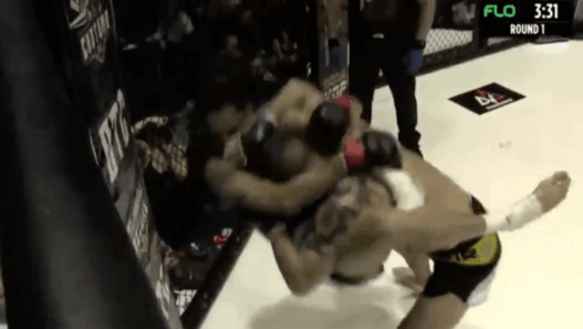 Zack Shaw slam KO KOP 61