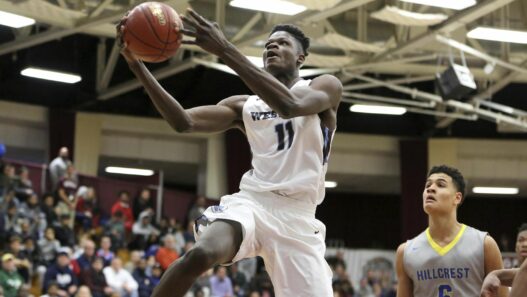 Mo Bamba a bien poussé :