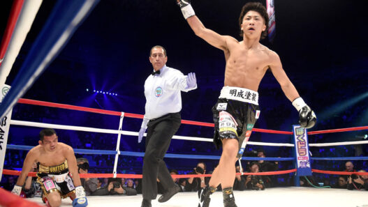 Le Top 8 de la nouvelle génération du boxing game