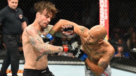 CM Punk UFC 225 Mike Jackson