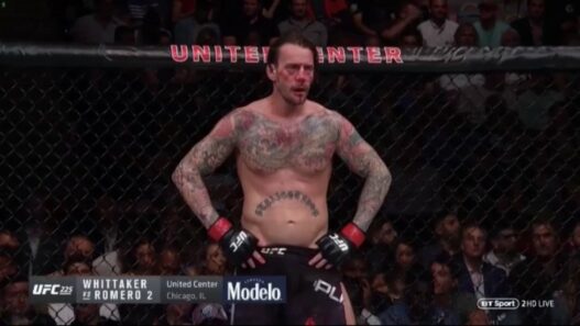 CM Punk UFC 225 Mike Jackson