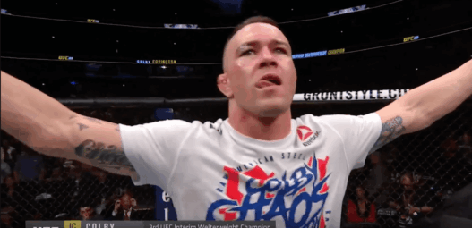 Colby Covington Rafael Dos Anjos UFC 225