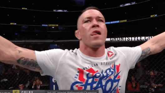 Colby Covington Rafael Dos Anjos UFC 225