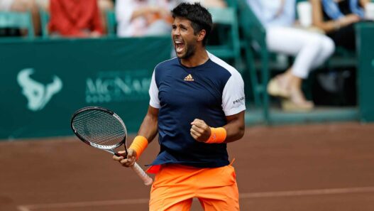 Fernando Verdasco Roland Garros