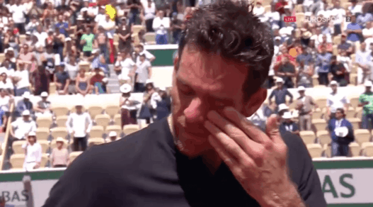 Juan Martin Del Potro Roland Garros