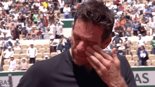 Juan Martin Del Potro Roland Garros