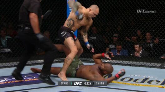 Rashad Evans Anthony Smith UFC 225