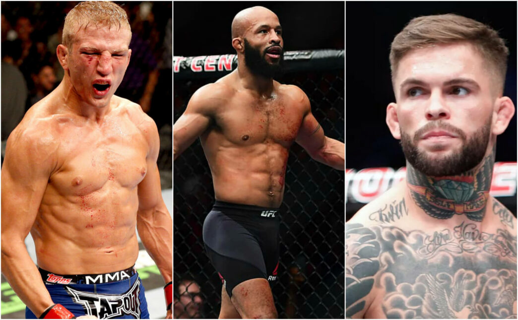 TJ Dillashaw explique pourquoi il n'affrontera par Demetrious Johnson