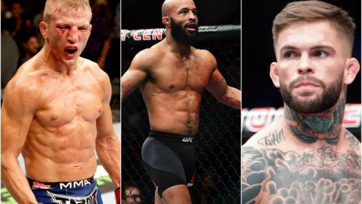 TJ Dillashaw explique pourquoi il n'affrontera par Demetrious Johnson