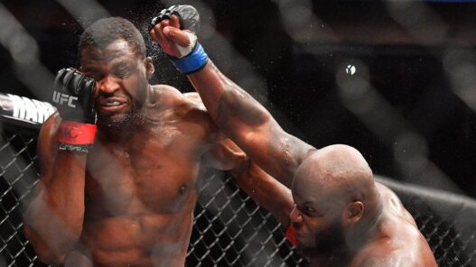 Francis Ngannou UFC 226