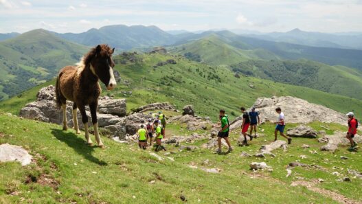 La course des Crêtes d’Espelette : entre sport et féria
