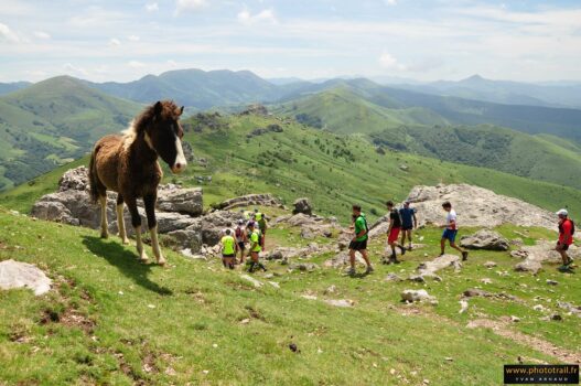 La course des Crêtes d’Espelette : entre sport et féria