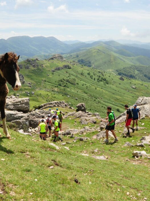 La course des Crêtes d’Espelette : entre sport et féria