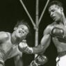 Sugar Ray Robinson - Hommage au plus grand boxeur de tous les temps