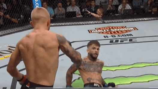 TJ Dillashaw Cody Garbrandt UFC 227 KO