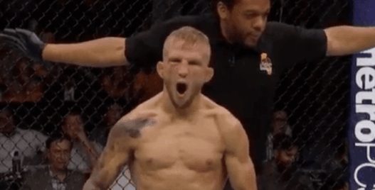 UFC 227 TJ Dillashaw Cody Garbrandt KO