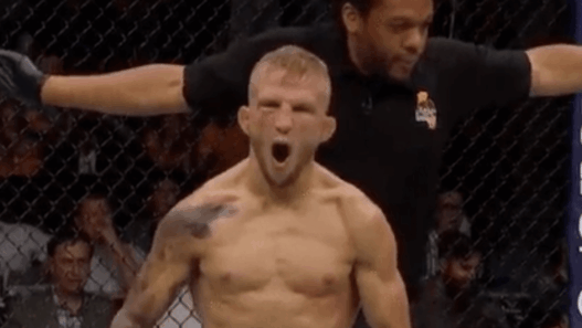 UFC 227 TJ Dillashaw Cody Garbrandt KO