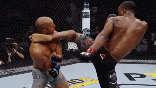 Geoff Neal UFC 228