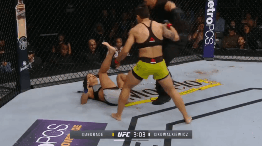 Jessica Andrade UFC 228
