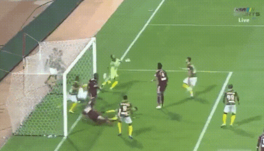 Saudi Arabian Professional League