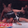 Cheick Kongo Bellator