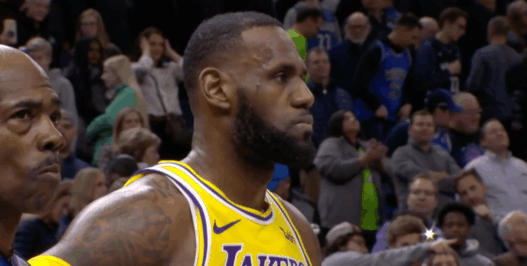 LeBron James Lakers Wolves