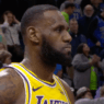 LeBron James Lakers Wolves