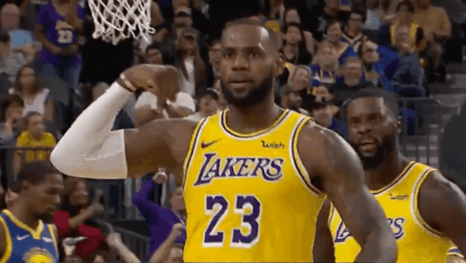 LeBron James Lakers celebration