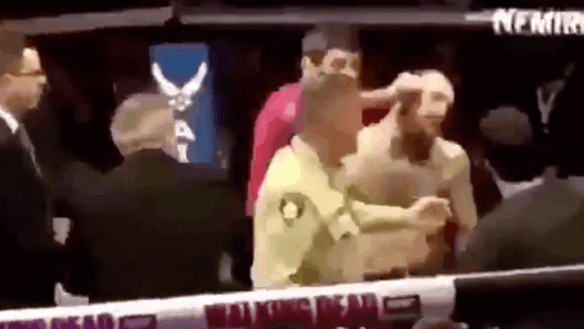 UFC 229 Khabib MGregor Brawl