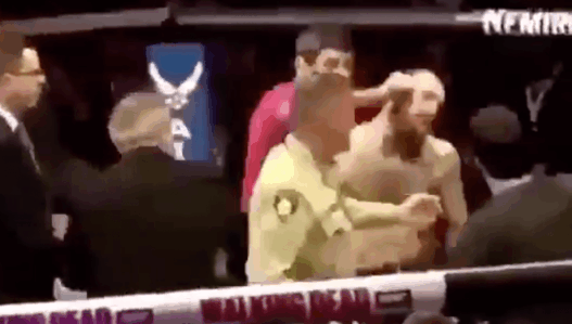 UFC 229 Khabib MGregor Brawl