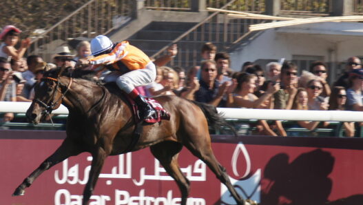 prix courses hippiques