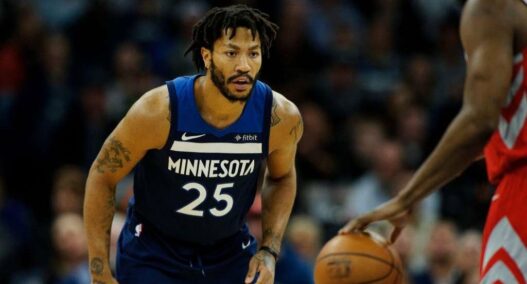 Derrick Rose Wolves