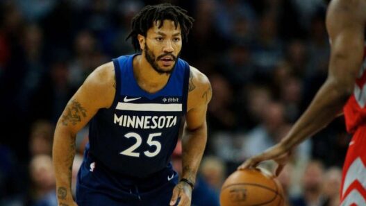 Derrick Rose Wolves