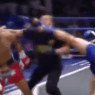 Un combattant met KO son adversaire et l'arbitre en Muay Thai