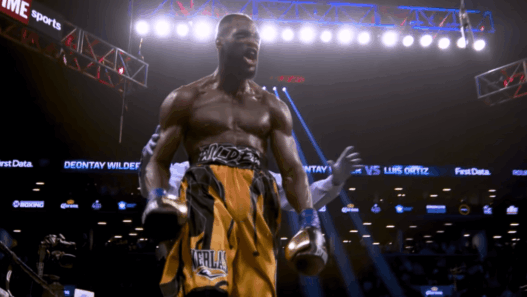 Deontay Wilder celebration
