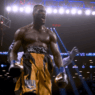 Deontay Wilder celebration