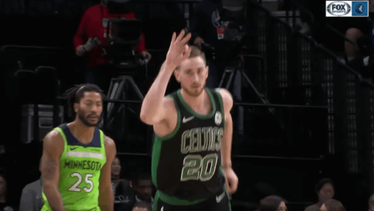 Gordon Hayward Boston Celtics
