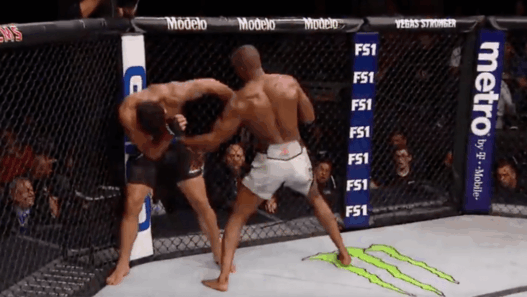 Kamaru Usman Rafael Dos Anjos TUF Finale