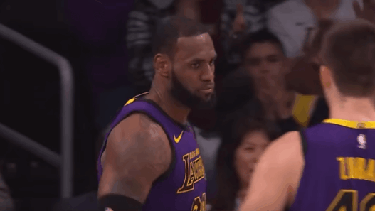 LeBron James New Orleans Pelicans