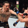 Max Holloway Brian Ortega