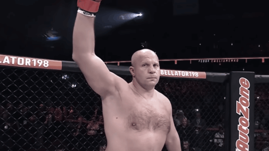 Bellator 214 Fedor Emelianenko