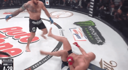Bellator 214 Fedor Emelianenko KO Bader