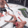 Bellator 214 Fedor Emelianenko KO Bader