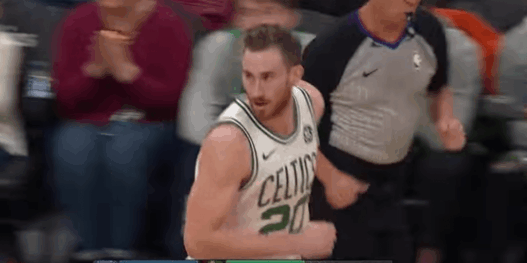 Gordon Hayward Timberwolves