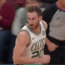 Gordon Hayward Timberwolves