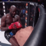 Bellator 216 Cheick Kongo Minakov